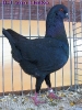 Lokalschau_49
