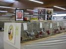 Huhntaubenschau_2009_10