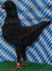 Unsere V-Tiere