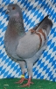 Die besten Tiere unseres Vereins