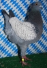 Die besten Tiere unseres Vereins