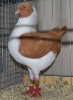 BezSchau_34