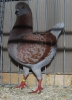 BezSchau_42