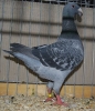 BezSchau_43