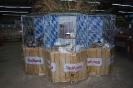BezSchau_7