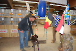 Schau_11
