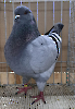 VS23 Tiere_25