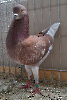 VS23 Tiere_40