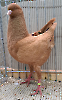 LS Tiere_26