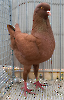 LS Tiere_28