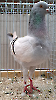 LS Tiere_39