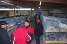 Markt19_20