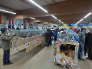 Markt22_3