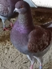 Eg_K_12