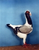 Eg_K_7