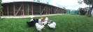 Feil_19