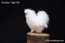 Feil_77