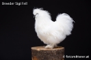 Feil_79