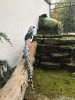 Feil_7