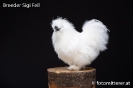 Feil_83
