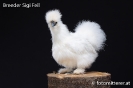 Feil_85