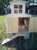 Kin_27