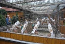 Müll_28