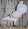 Müll_39