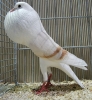 Müll_43