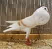 Müll_45