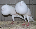 Müll_46