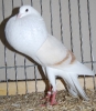 Müll_47