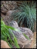 SaSch_6