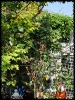 SaSch_8