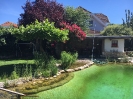 WeiR_21